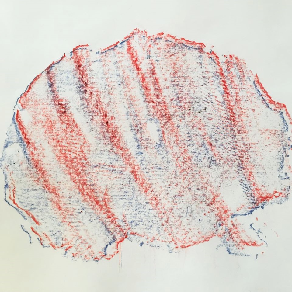 Fossil Art Tessa's Museum